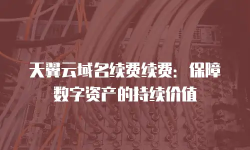 天翼云域名续费续费：保障数字资产的持续价值