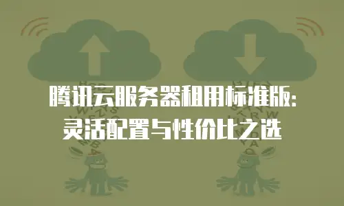 腾讯云服务器租用标准版：灵活配置与性价比之选