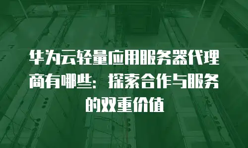 华为云轻量应用服务器代理商有哪些：探索合作与服务的双重价值