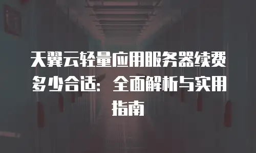 天翼云轻量应用服务器续费多少合适：全面解析与实用指南