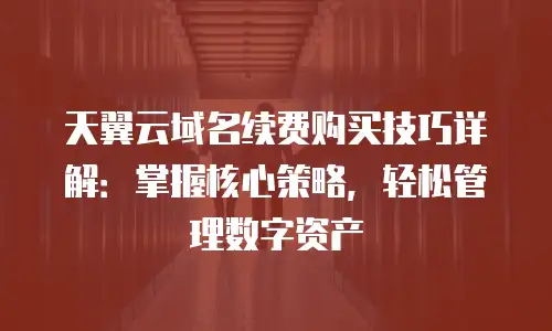 天翼云域名续费购买技巧详解：掌握核心策略，轻松管理数字资产