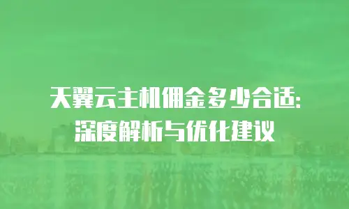 天翼云主机佣金多少合适：深度解析与优化建议