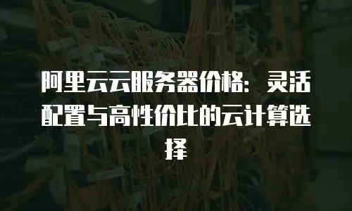 阿里云云服务器价格：灵活配置与高性价比的云计算选择
