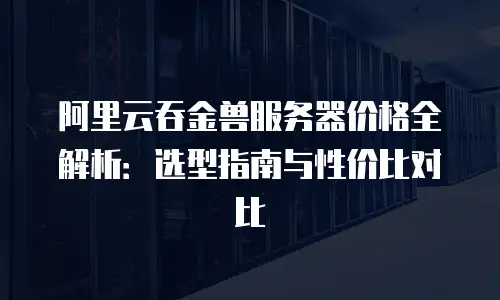 阿里云吞金兽服务器价格全解析：选型指南与性价比对比