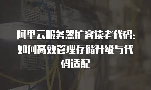 阿里云服务器扩容读老代码：如何高效管理存储升级与代码适配
