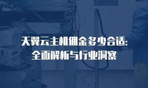 天翼云主机佣金多少合适：全面解析与行业洞察