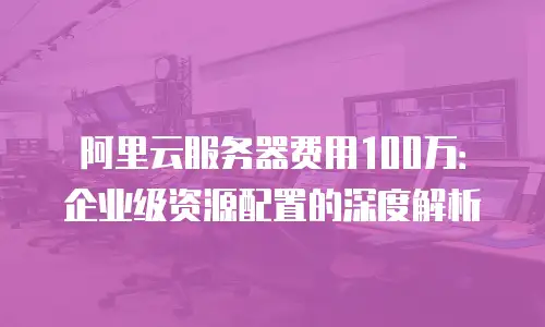 阿里云服务器费用100万：企业级资源配置的深度解析