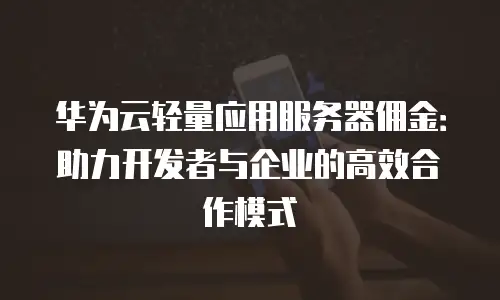 华为云轻量应用服务器佣金：助力开发者与企业的高效合作模式