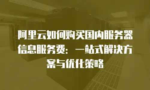 阿里云如何购买国内服务器信息服务费：一站式解决方案与优化策略