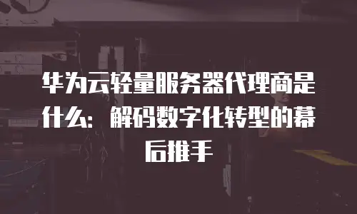 华为云轻量服务器代理商是什么：解码数字化转型的幕后推手