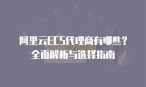 阿里云ECS代理商有哪些？全面解析与选择指南