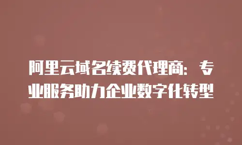 阿里云域名续费代理商：专业服务助力企业数字化转型
