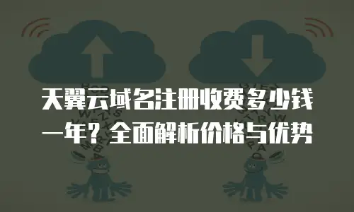 天翼云域名注册收费多少钱一年？全面解析价格与优势