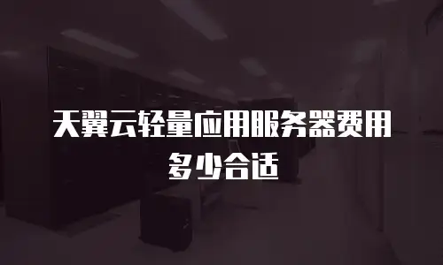 天翼云轻量应用服务器费用多少合适
