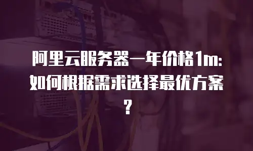 阿里云服务器一年价格1m：如何根据需求选择最优方案？