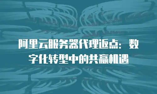 阿里云服务器代理返点：数字化转型中的共赢机遇