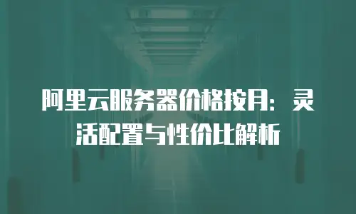 阿里云服务器价格按月：灵活配置与性价比解析
