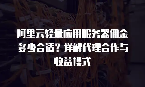 阿里云轻量应用服务器佣金多少合适？详解代理合作与收益模式