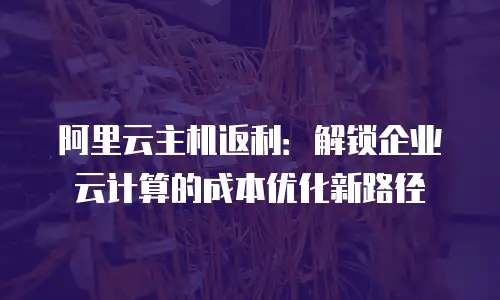 阿里云主机返利：解锁企业云计算的成本优化新路径