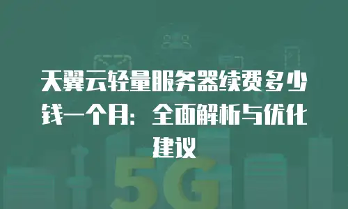 天翼云轻量服务器续费多少钱一个月：全面解析与优化建议