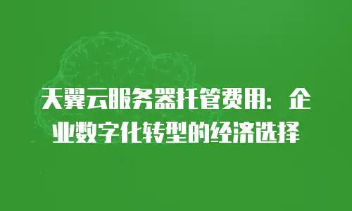天翼云服务器托管费用：企业数字化转型的经济选择