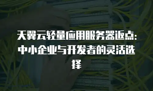 天翼云轻量应用服务器返点：中小企业与开发者的灵活选择
