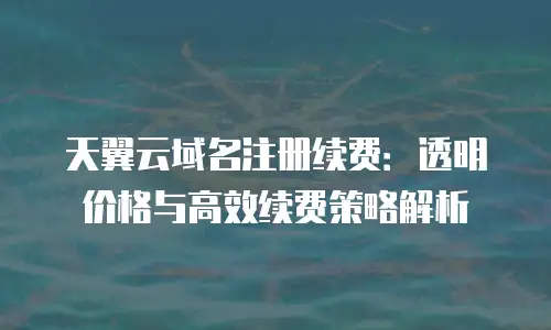 天翼云域名注册续费：透明价格与高效续费策略解析
