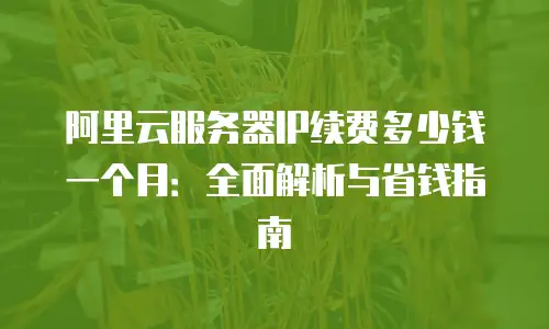 阿里云服务器IP续费多少钱一个月：全面解析与省钱指南
