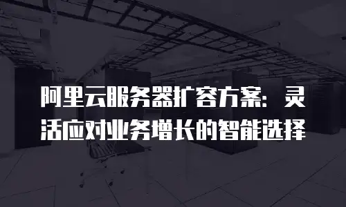 阿里云服务器扩容方案：灵活应对业务增长的智能选择