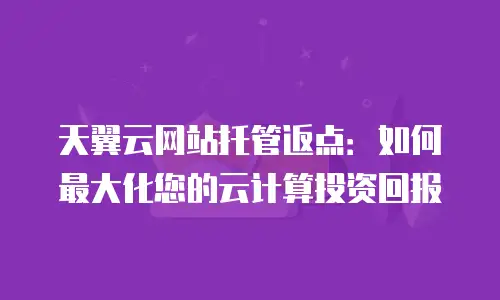 天翼云网站托管返点：如何最大化您的云计算投资回报