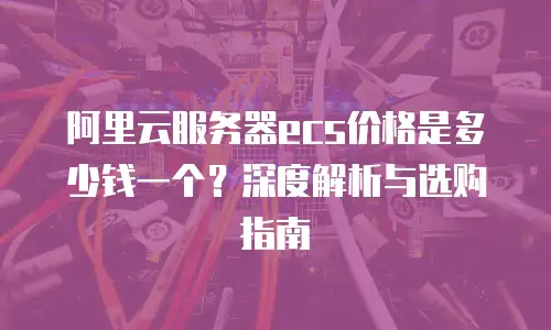 阿里云服务器ecs价格是多少钱一个？深度解析与选购指南