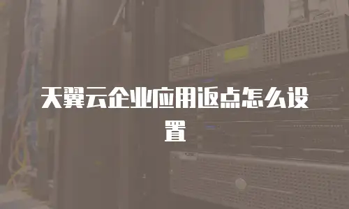 天翼云企业应用返点怎么设置