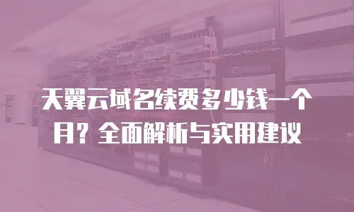 天翼云域名续费多少钱一个月？全面解析与实用建议