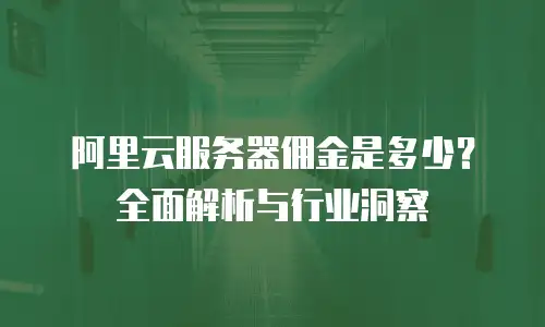 阿里云服务器佣金是多少？全面解析与行业洞察