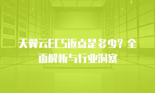 天翼云ECS返点是多少？全面解析与行业洞察