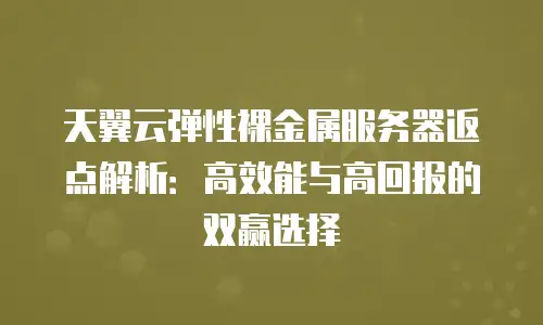 天翼云弹性裸金属服务器返点解析：高效能与高回报的双赢选择