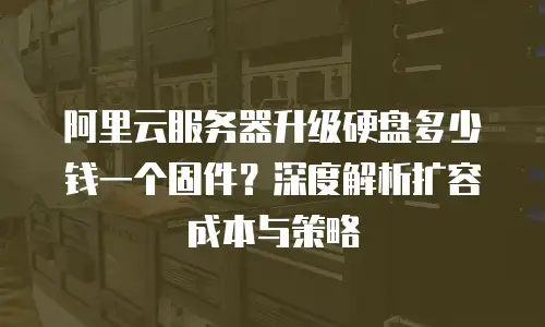 阿里云服务器升级硬盘多少钱一个固件？深度解析扩容成本与策略