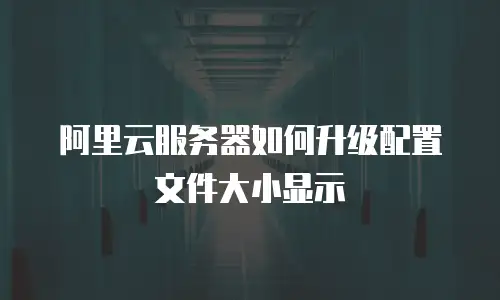 阿里云服务器如何升级配置文件大小显示