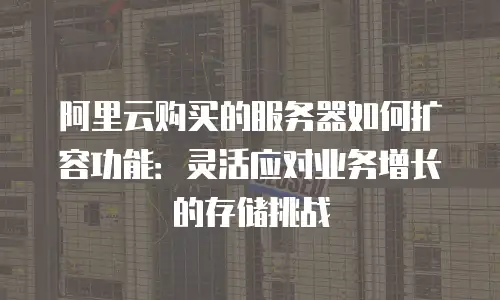 阿里云购买的服务器如何扩容功能：灵活应对业务增长的存储挑战