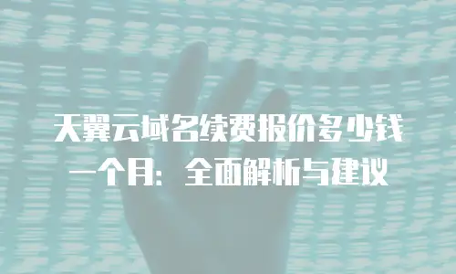 天翼云域名续费报价多少钱一个月：全面解析与建议