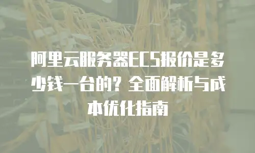 阿里云服务器ECS报价是多少钱一台的？全面解析与成本优化指南