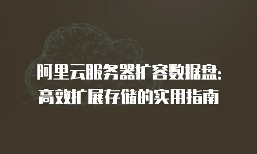 阿里云服务器扩容数据盘：高效扩展存储的实用指南