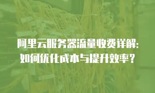 阿里云服务器流量收费详解：如何优化成本与提升效率？