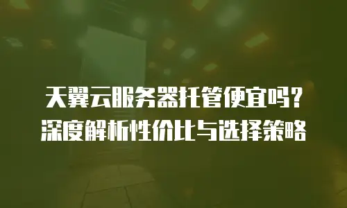 天翼云服务器托管便宜吗？深度解析性价比与选择策略