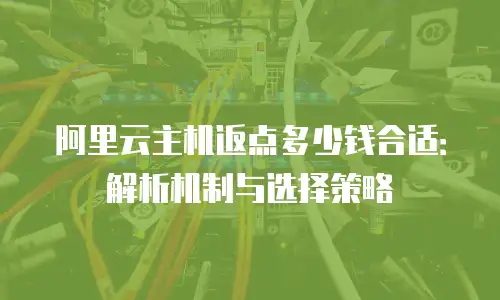 阿里云主机返点多少钱合适：解析机制与选择策略
