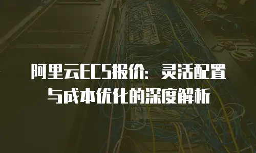 阿里云ECS报价：灵活配置与成本优化的深度解析