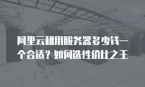 阿里云租用服务器多少钱一个合适？如何选性价比之王