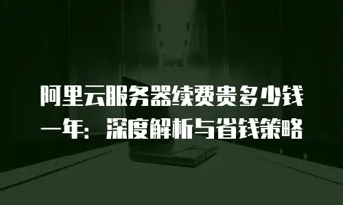 阿里云服务器续费贵多少钱一年：深度解析与省钱策略
