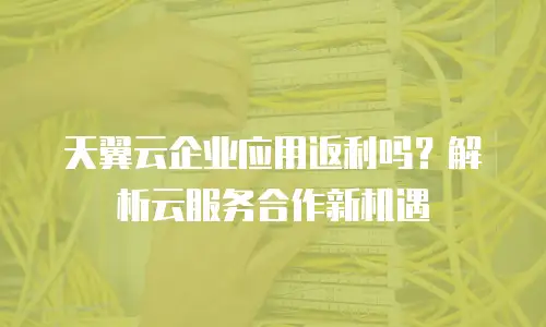 天翼云企业应用返利吗？解析云服务合作新机遇