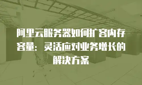 阿里云服务器如何扩容内存容量：灵活应对业务增长的解决方案